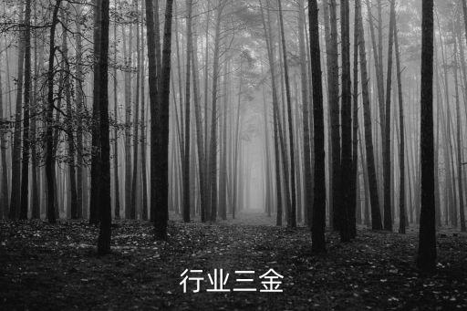 建筑行业三金