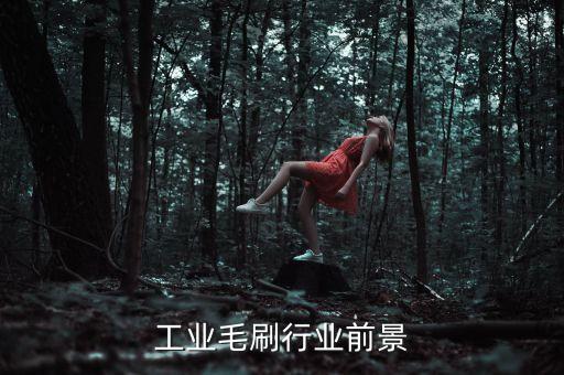 安徽工业毛刷行业前景