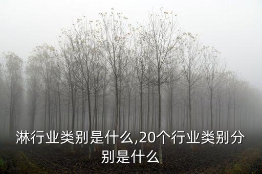 淋行业类别是什么,20个行业类别分别是什么