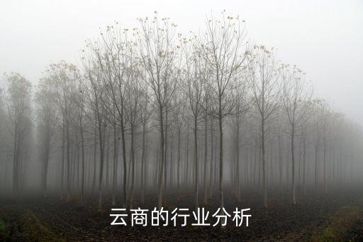 云商的行业分析