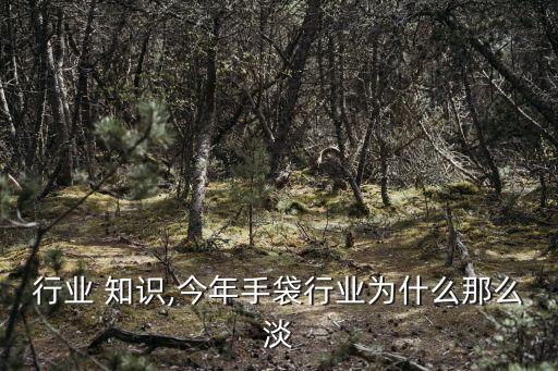 行业 知识,今年手袋行业为什么那么淡