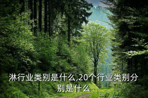 淋行业类别是什么,20个行业类别分别是什么