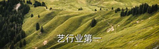 爱奇艺行业第一