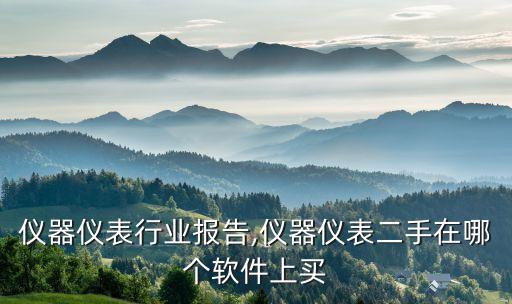 仪器仪表行业报告,仪器仪表二手在哪个软件上买