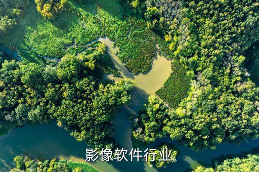 医学影像软件行业