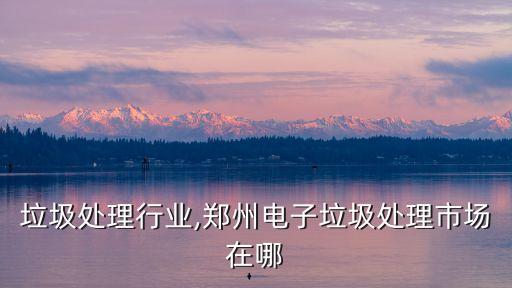 电子垃圾处理行业,郑州电子垃圾处理市场在哪