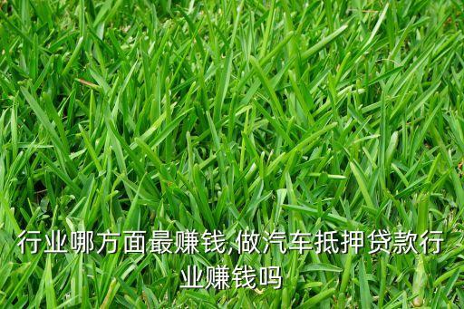 行业哪方面最赚钱,做汽车抵押贷款行业赚钱吗