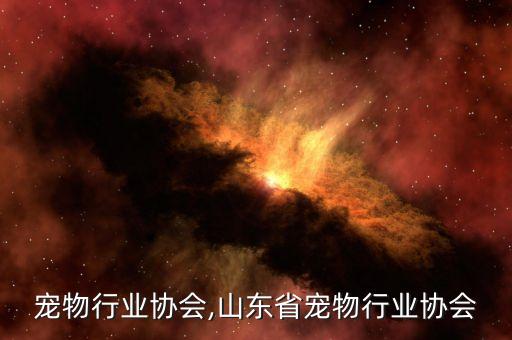 宠物行业协会,山东省宠物行业协会