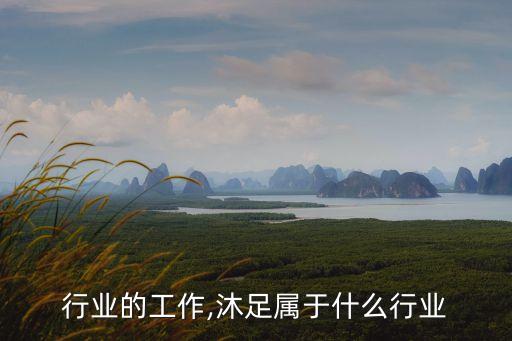 沐足行业的工作,沐足属于什么行业