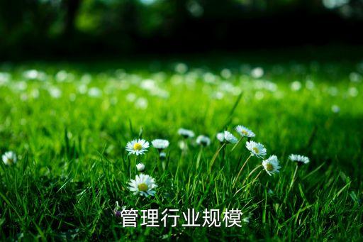 酒店管理行业规模