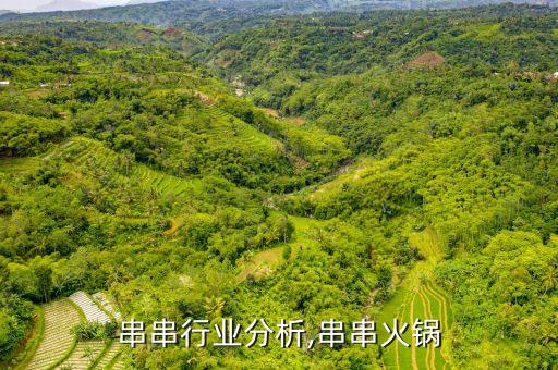 串串行业分析,串串火锅