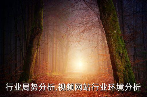 网站行业局势分析,视频网站行业环境分析