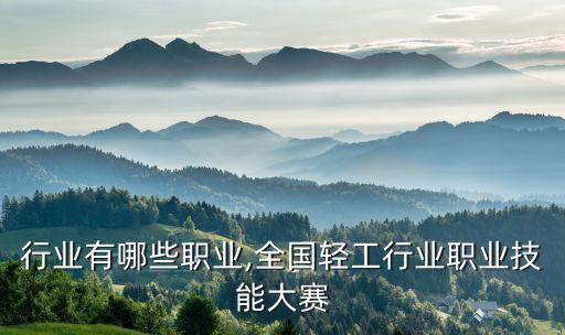 行业有哪些职业,全国轻工行业职业技能大赛