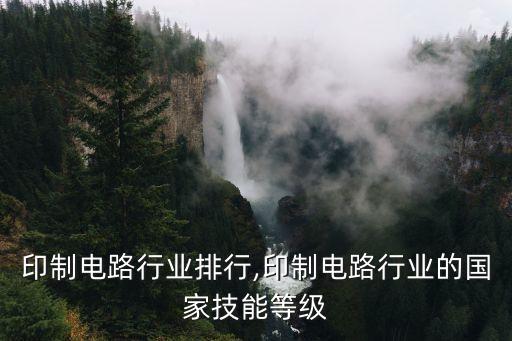 印制电路行业排行,印制电路行业的国家技能等级