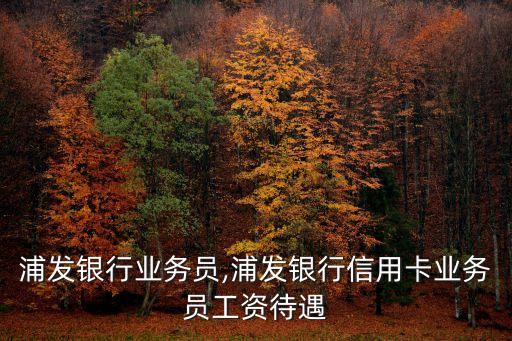 浦发银行业务员,浦发银行信用卡业务员工资待遇