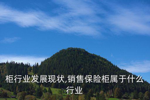 保险柜行业发展现状,销售保险柜属于什么行业