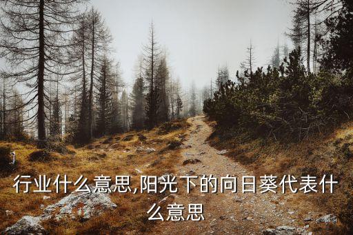 阳光行业什么意思,阳光下的向日葵代表什么意思
