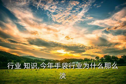 行业 知识,今年手袋行业为什么那么淡