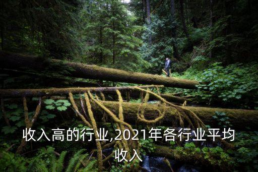 平均收入高的行业,2021年各行业平均收入