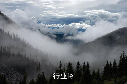 汽车行业ie