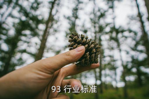 93 行业标准