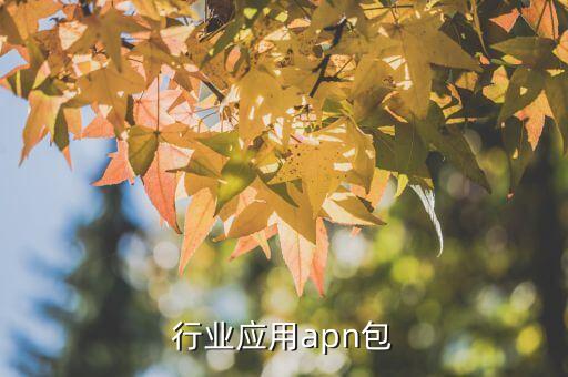 3g行业应用apn包