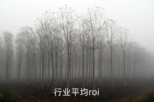行业平均roi