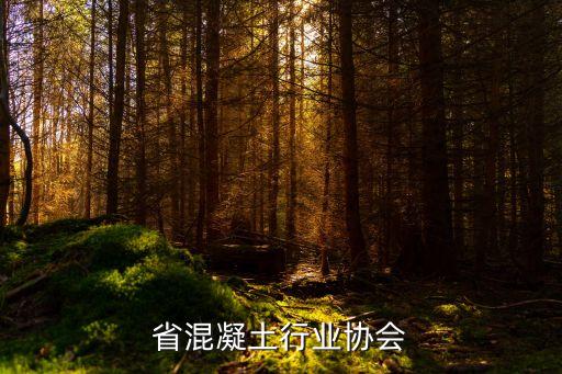 陕西省混凝土行业协会