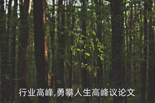 行业高峰,勇攀人生高峰议论文