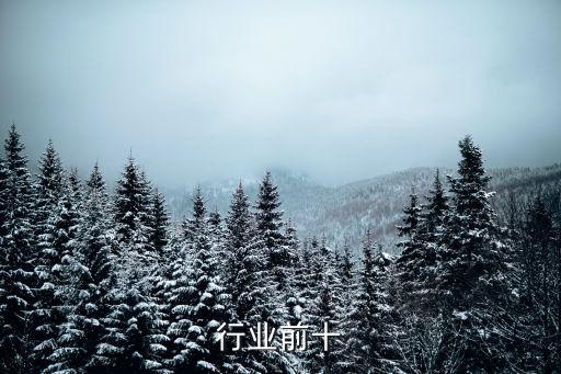 设计行业前十