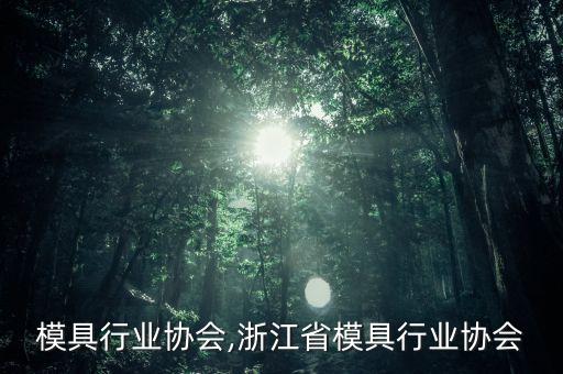 模具行业协会,浙江省模具行业协会