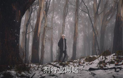 剂行业网站