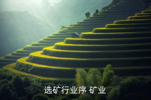 选矿行业序 矿业