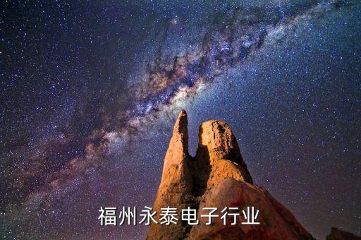 福州永泰电子行业