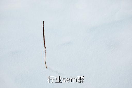 行业sem群