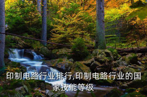 中国印制电路行业排行,印制电路行业的国家技能等级