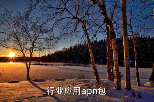 行业应用apn包