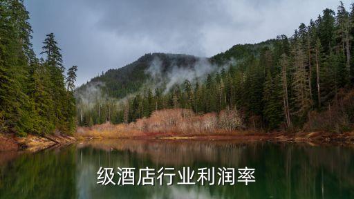 级酒店行业利润率