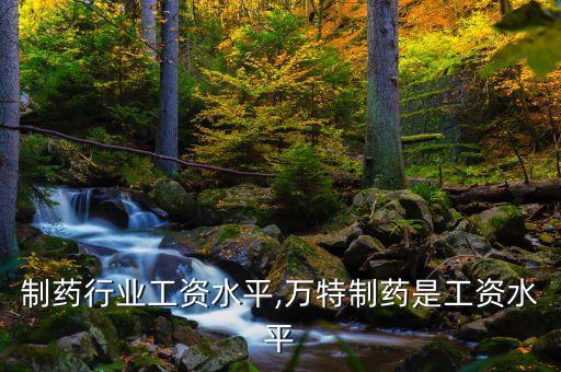 中药制药行业工资水平,万特制药是工资水平