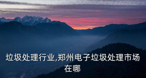 垃圾处理行业,郑州电子垃圾处理市场在哪