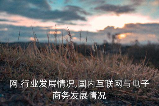 互联网 行业发展情况,国内互联网与电子商务发展情况