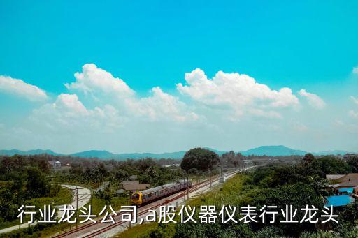 行业龙头公司,a股仪器仪表行业龙头