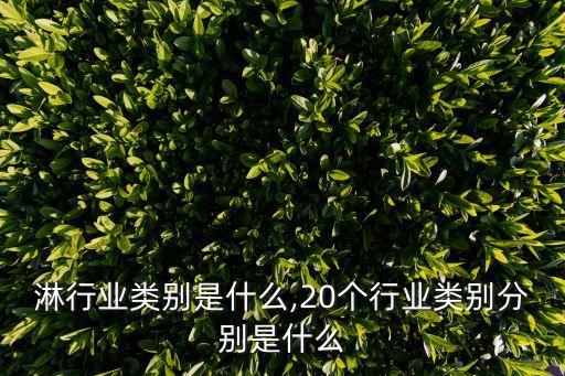 淋行业类别是什么,20个行业类别分别是什么
