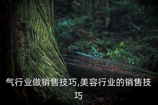 在电气行业做销售技巧,美容行业的销售技巧