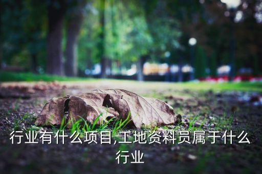 行业有什么项目,工地资料员属于什么行业
