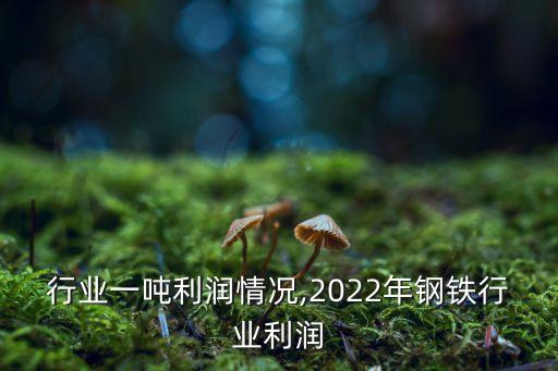 钢铁行业一吨利润情况,2022年钢铁行业利润