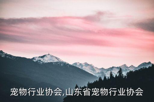 宠物行业协会,山东省宠物行业协会
