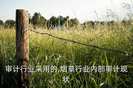 审计行业采用的,烟草行业内部审计现状