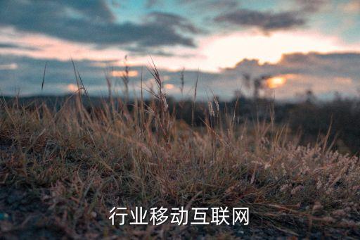 行业移动互联网