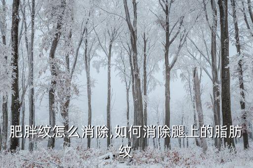 肥胖纹怎么消除,如何消除腿上的脂肪纹